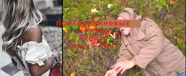 МДМА Арсеньев