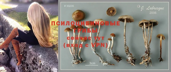 ALPHA-PVP Семёнов
