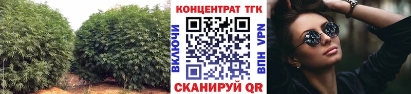 ТГК концентрат  нарко площадка наркотические препараты  Пустошка  что такое наркотик  мега  