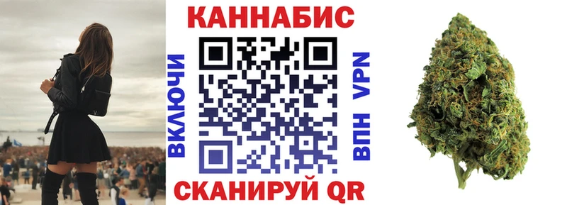 Бошки Шишки план  Пустошка 
